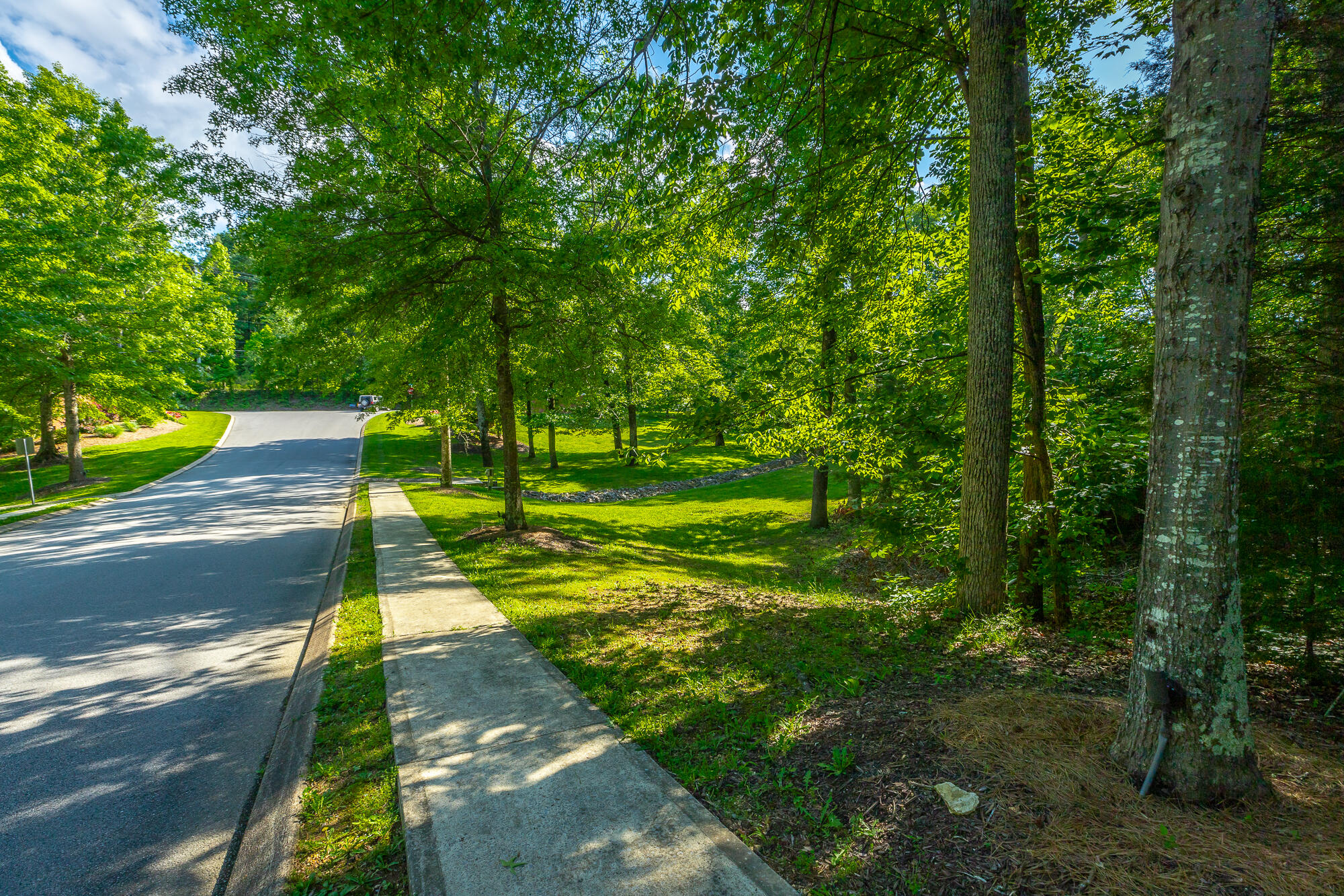 12541 Emerald Bay Drive, Soddy Daisy, Tennessee image 10
