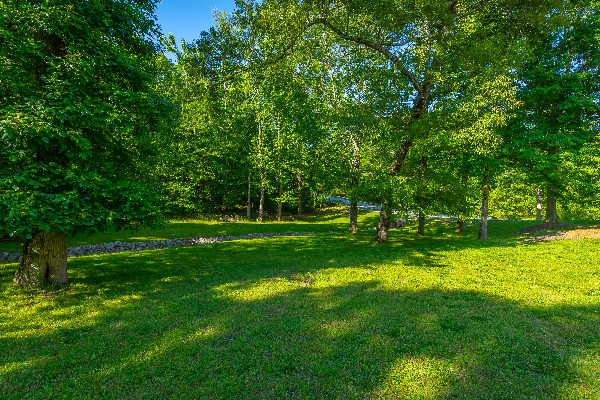 12541 Emerald Bay Drive, Soddy Daisy, Tennessee image 8