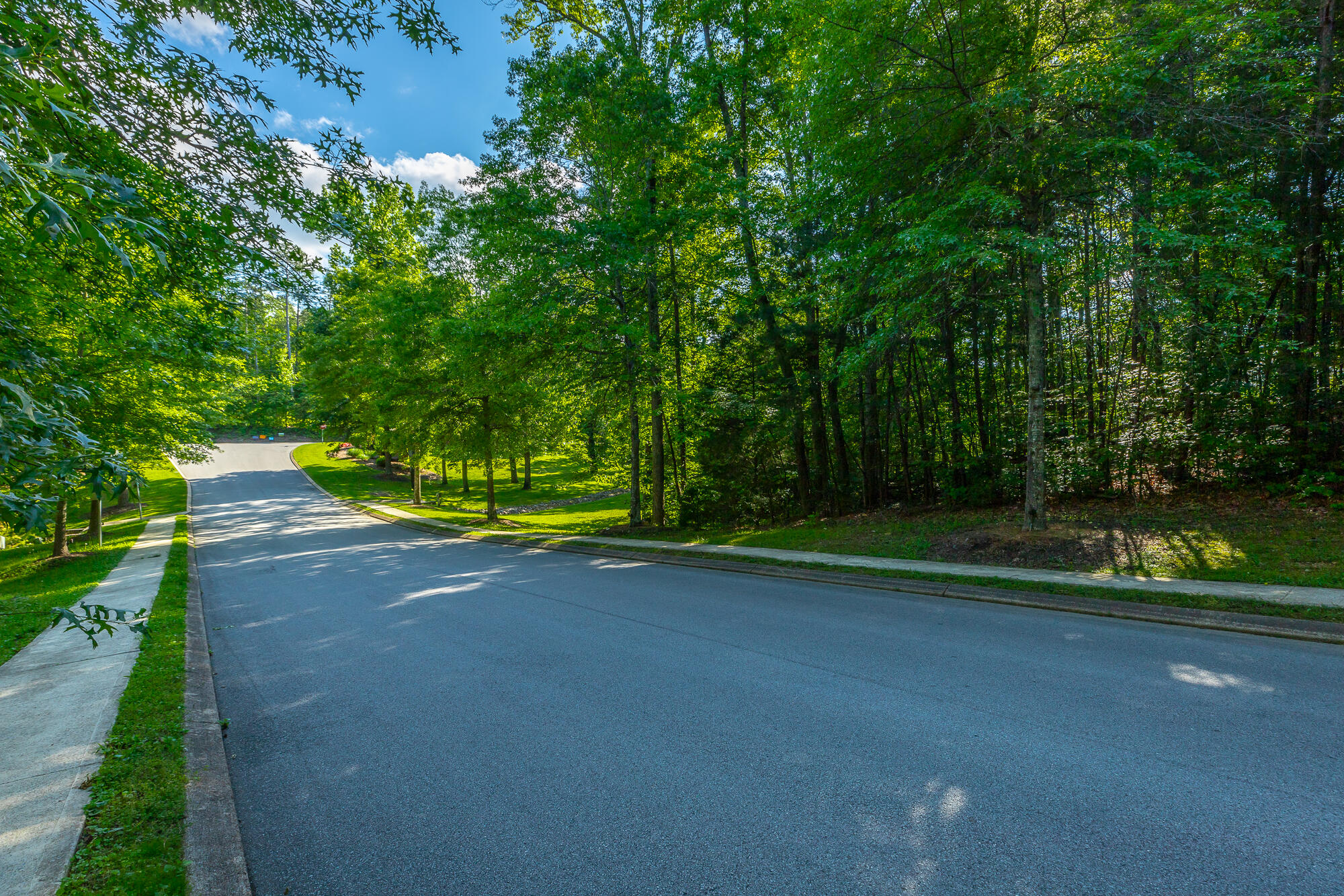 12541 Emerald Bay Drive, Soddy Daisy, Tennessee image 9