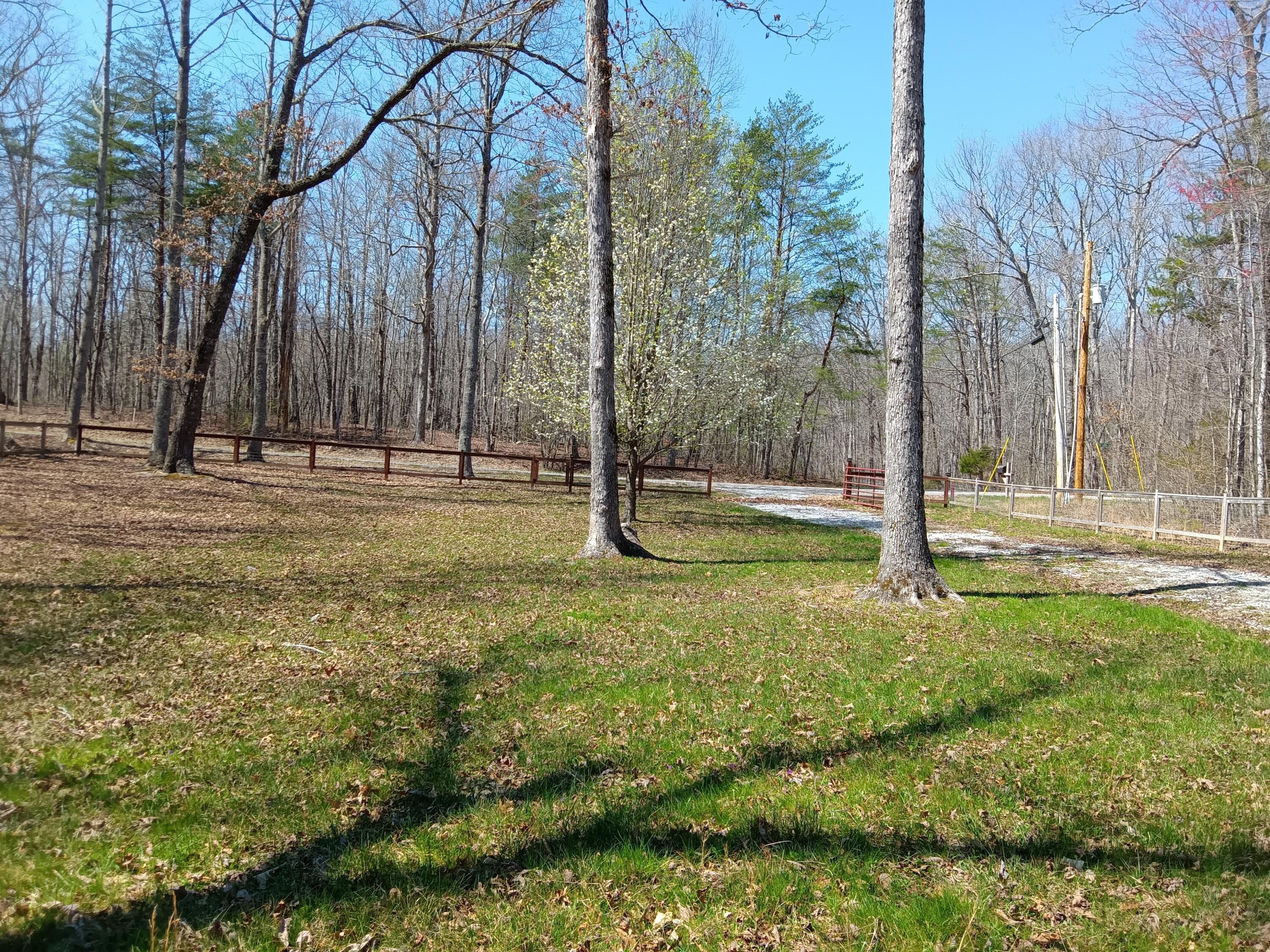 92 Mount Laurel Road, Pikeville, Tennessee image 2