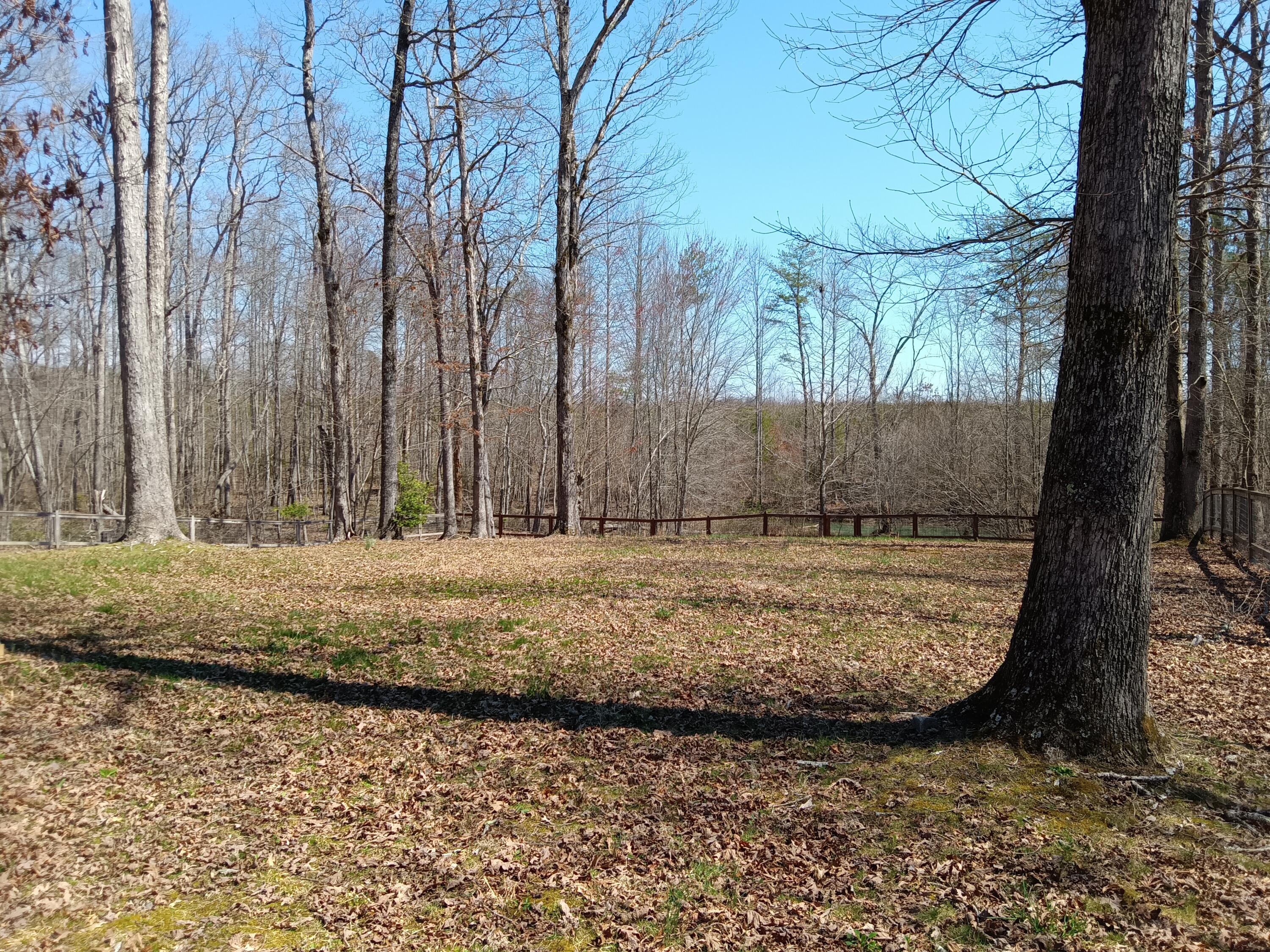 92 Mount Laurel Road, Pikeville, Tennessee image 3