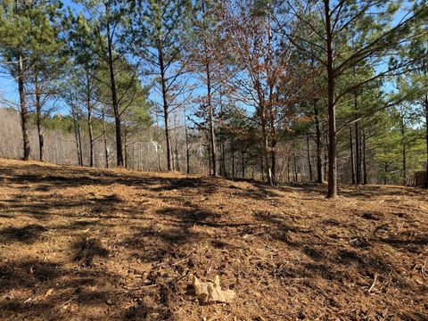 Photo of 14 Turkey Run, Flintstone, GA 30725 (MLS # 1525275)