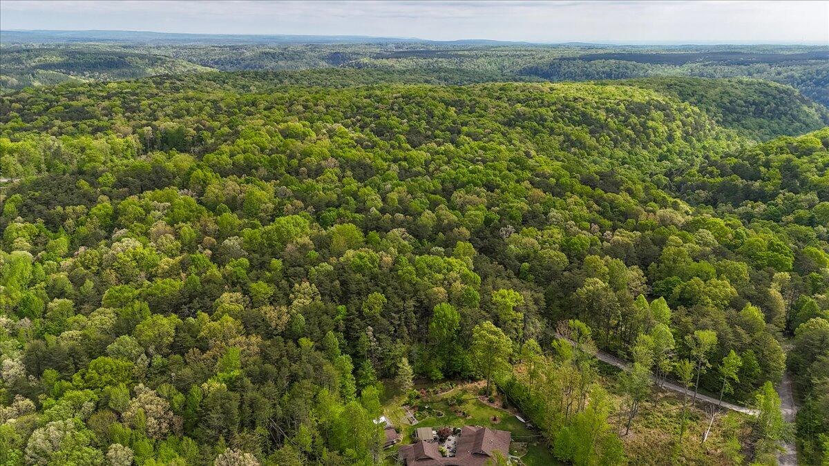 8981 Big Bend Tract B Road, Signal Mountain, Tennessee image 26
