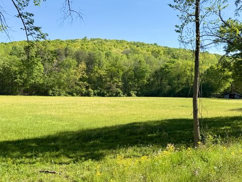 Photo of 0 Griffith Hwy, Jasper, TN 37347 (MLS # 1532650)