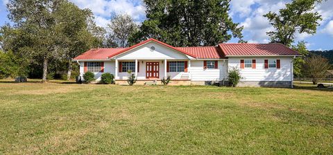 Photo of 8511 Mckenzie Lane, Ooltewah, TN 37363 (MLS # 1521653)