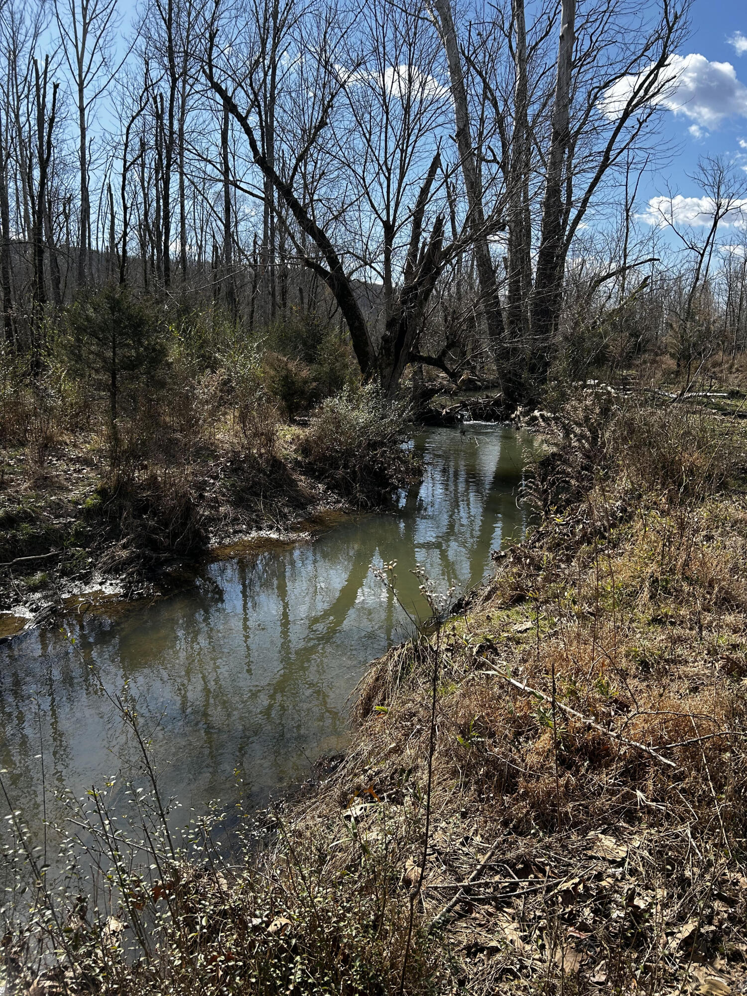 000 No Pone Valley Road, Georgetown, Tennessee image 3