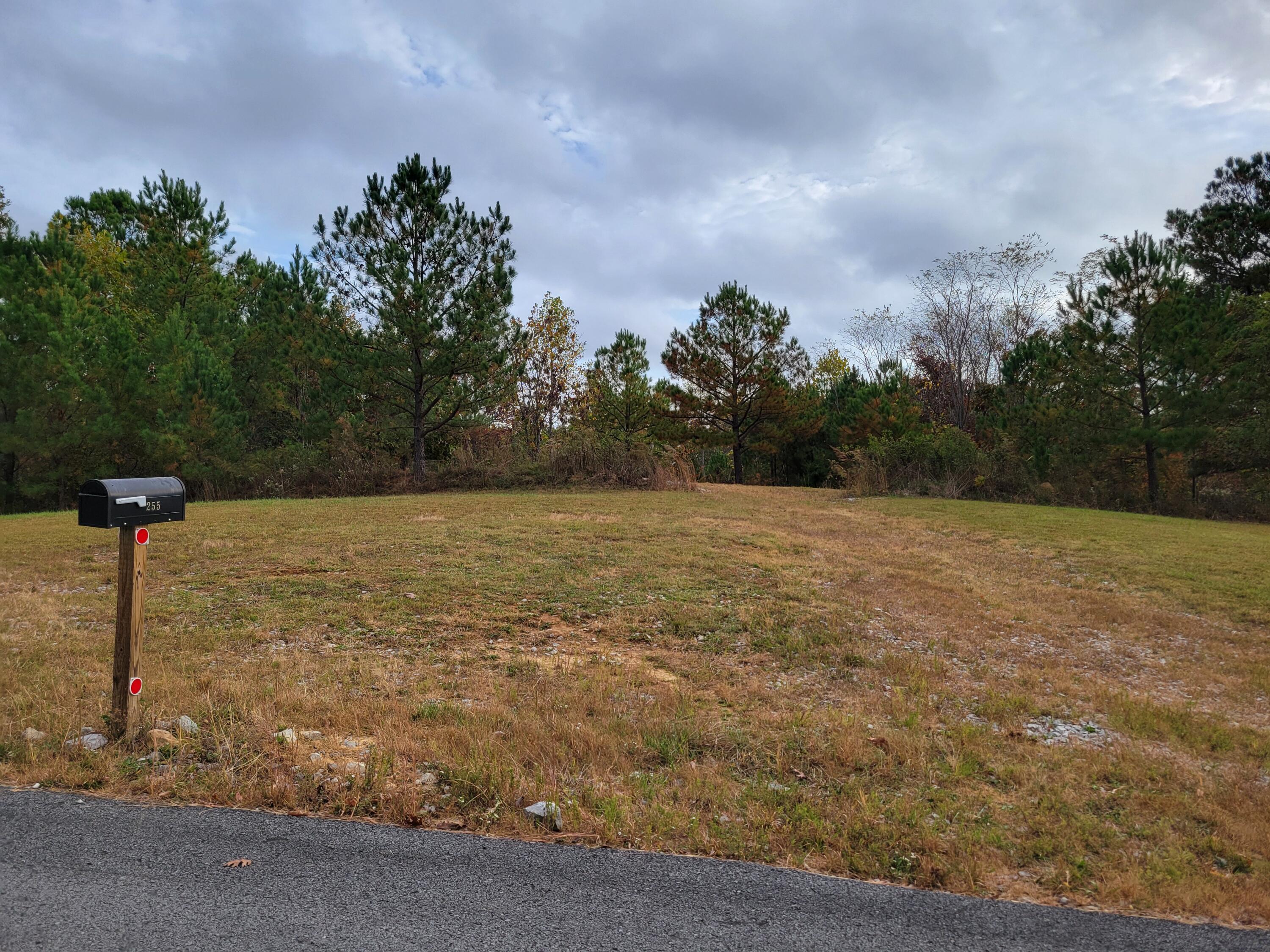 255 Falling Cliff Drive #102, South Pittsburg, Tennessee image 2