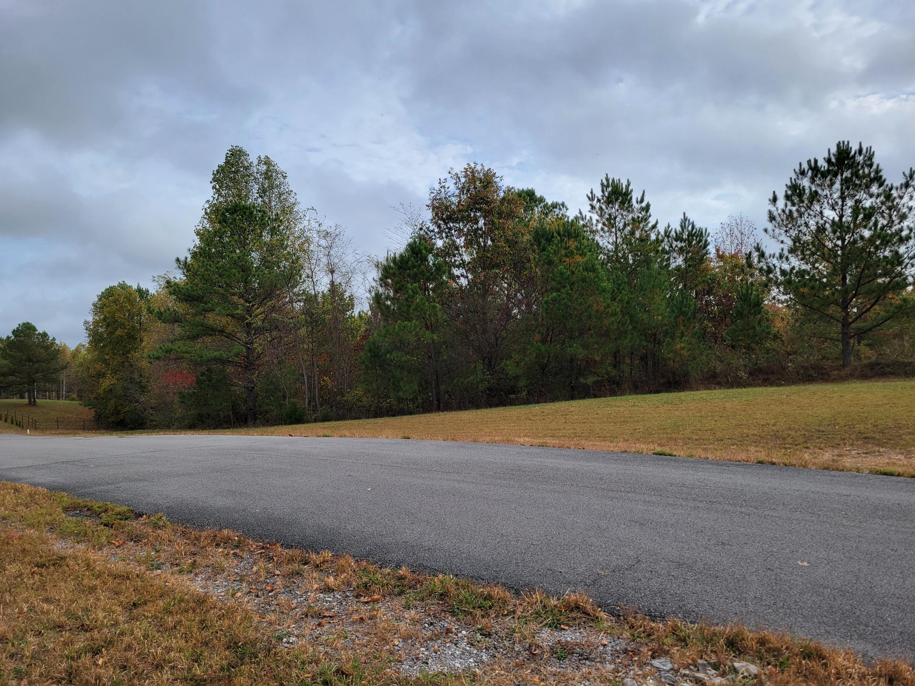 255 Falling Cliff Drive #102, South Pittsburg, Tennessee image 9