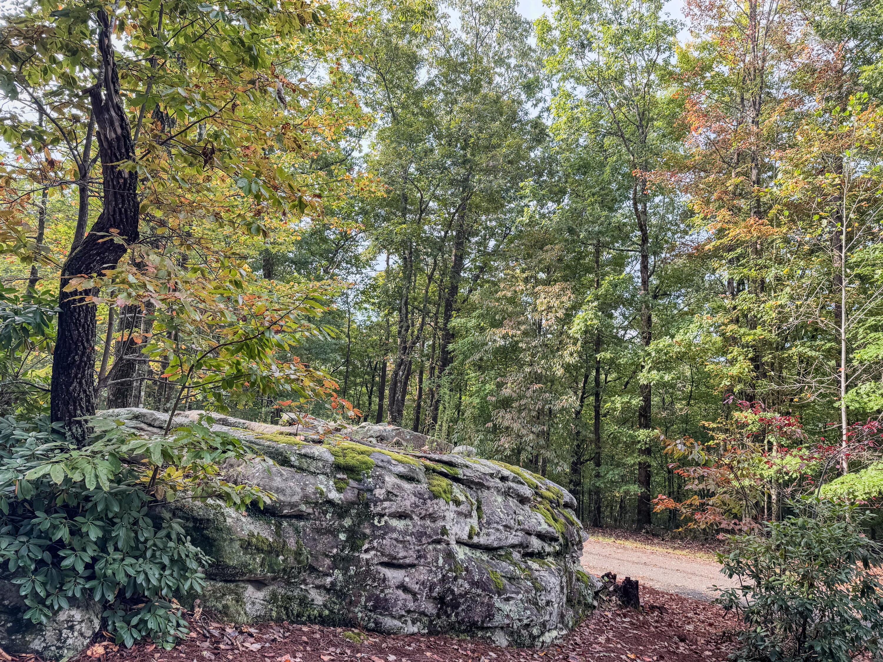 000 Tall Tree Trail 412