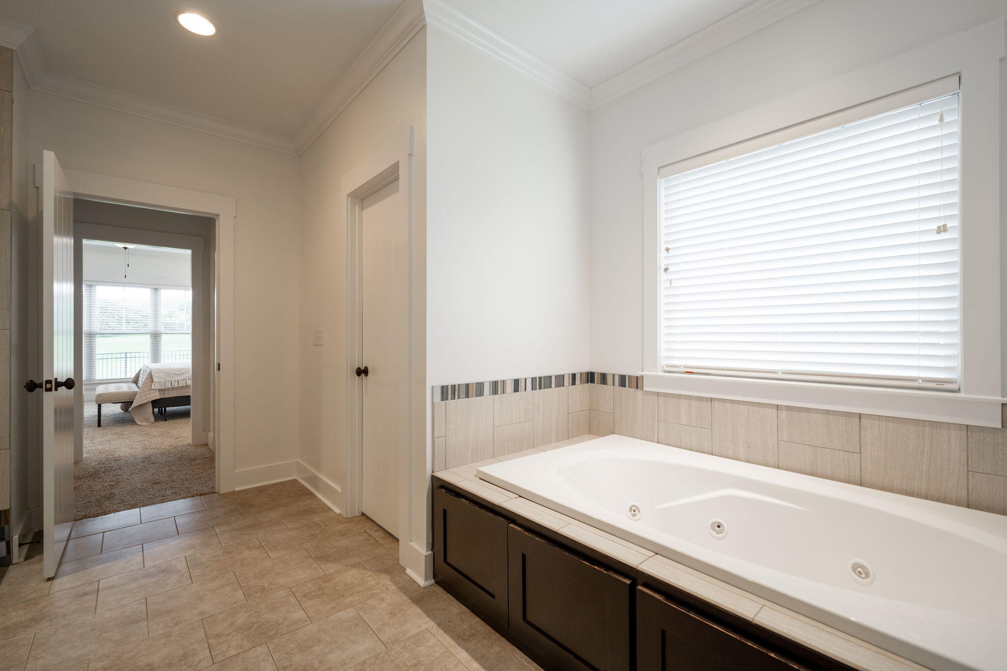 3637 Stickley Way, Apison, Tennessee image 12