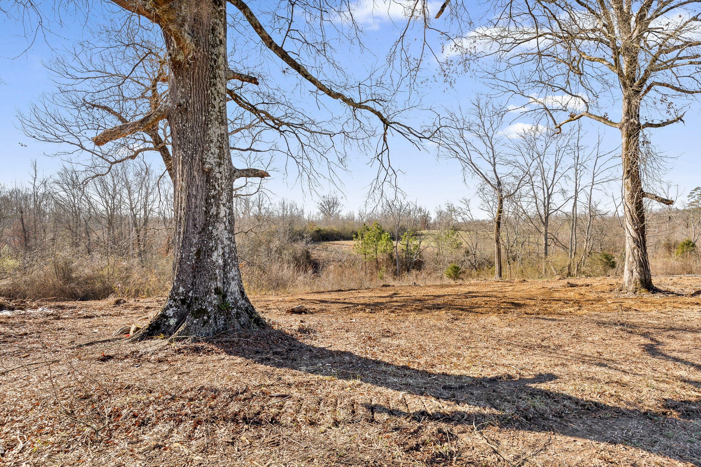 000 Cottonport Road #TRACT 1, Dayton, Tennessee image 14