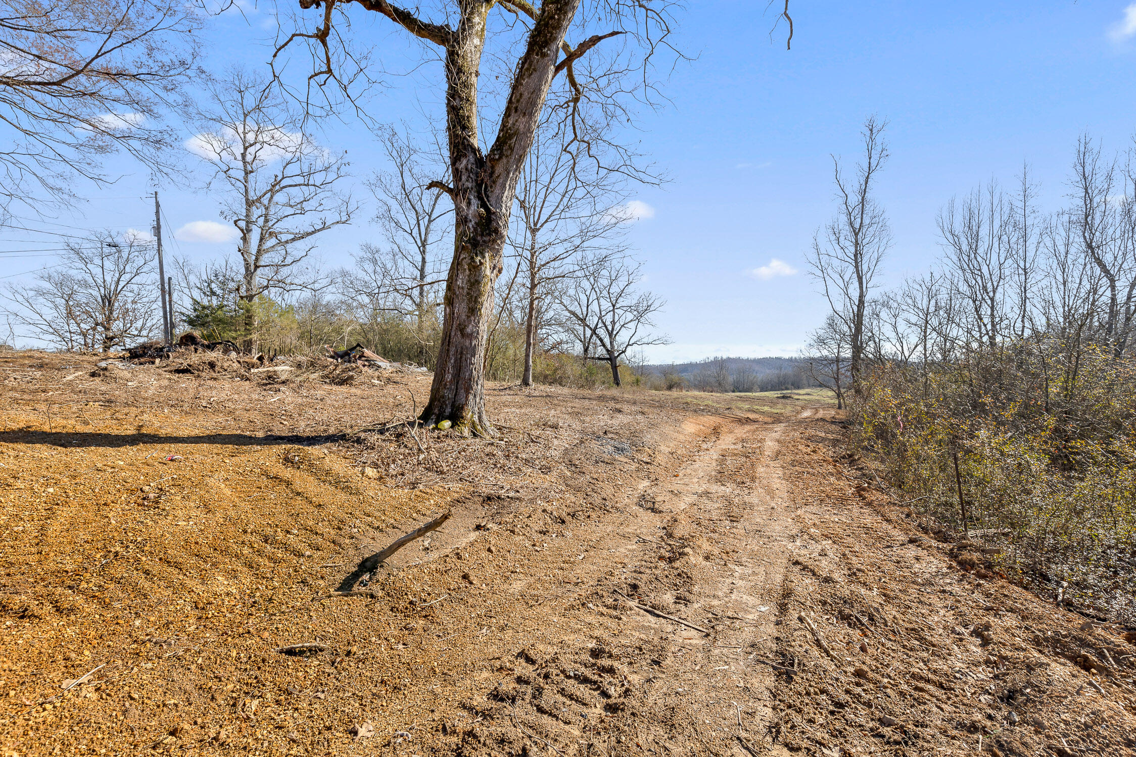 000 Cottonport Road #TRACT 1, Dayton, Tennessee image 8