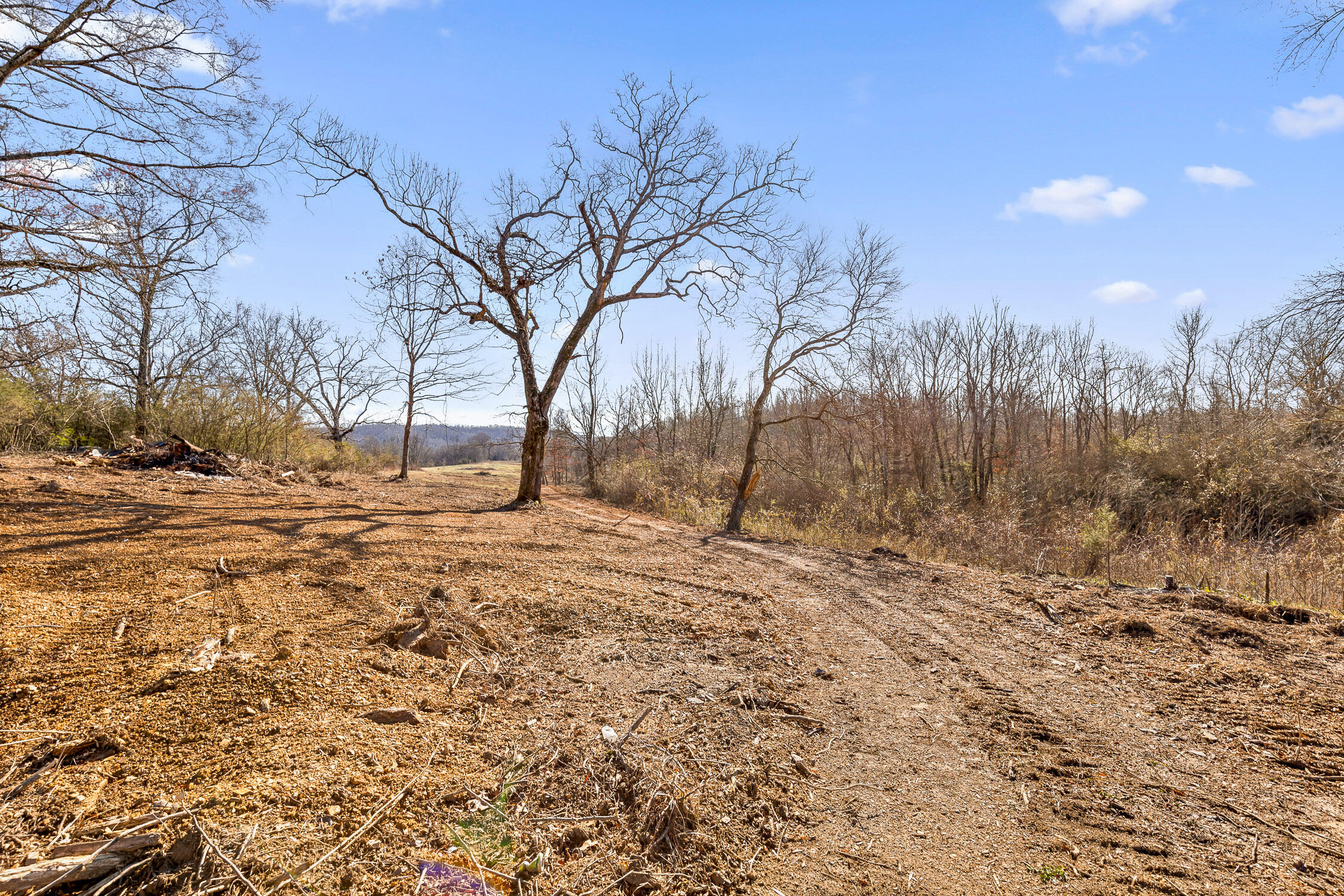 000 Cottonport Road #TRACT 1, Dayton, Tennessee image 7