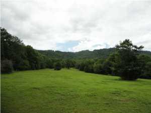 ooltewah georgetown