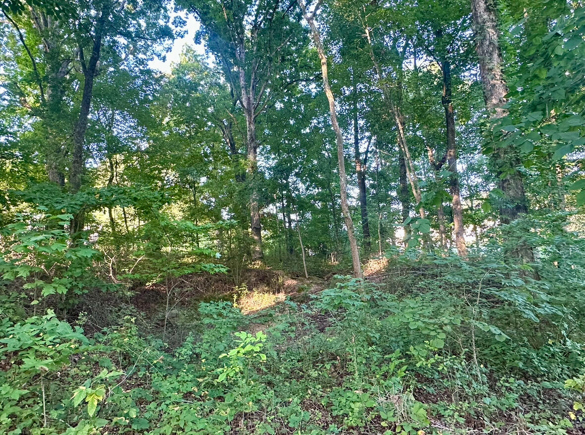 1ac Reed Strickland Lane, Spring City, Tennessee image 4