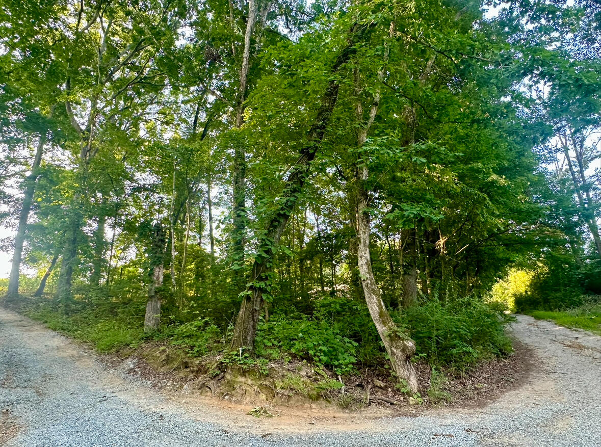 1ac Reed Strickland Lane, Spring City, Tennessee image 5