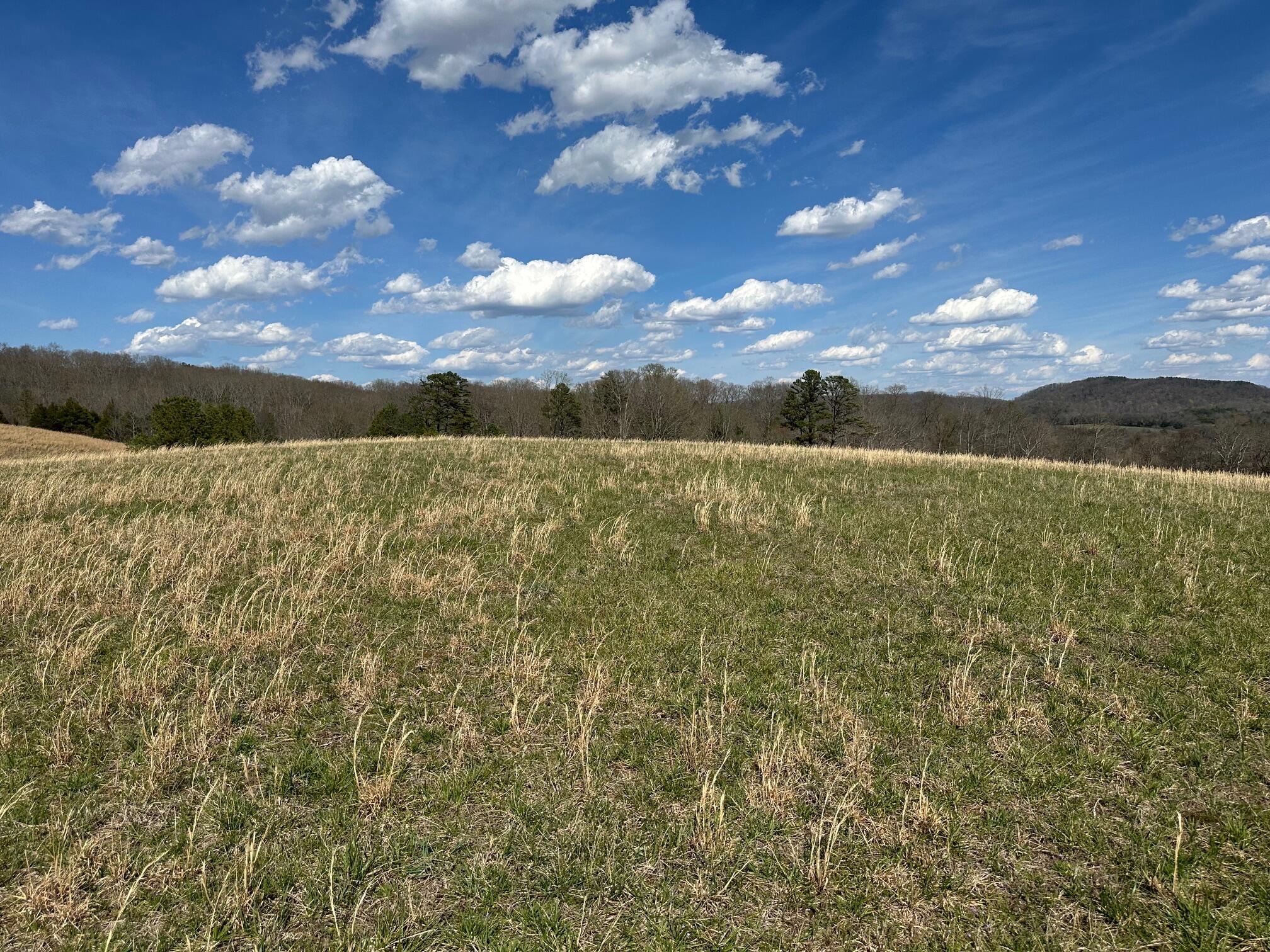 32131 State Highway 58 Highway, Ten Mile, Tennessee image 7