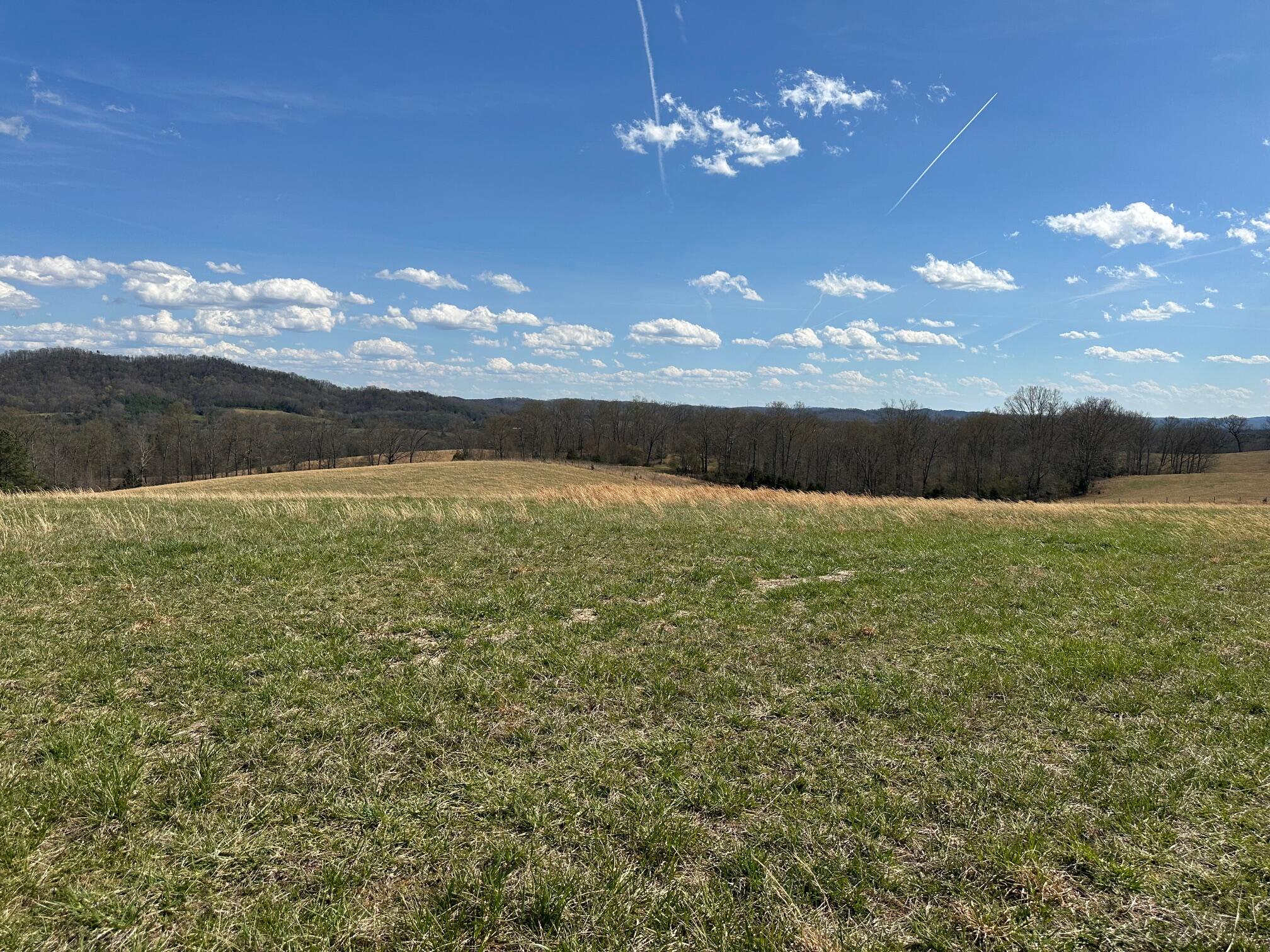 32131 State Highway 58 Highway, Ten Mile, Tennessee image 26