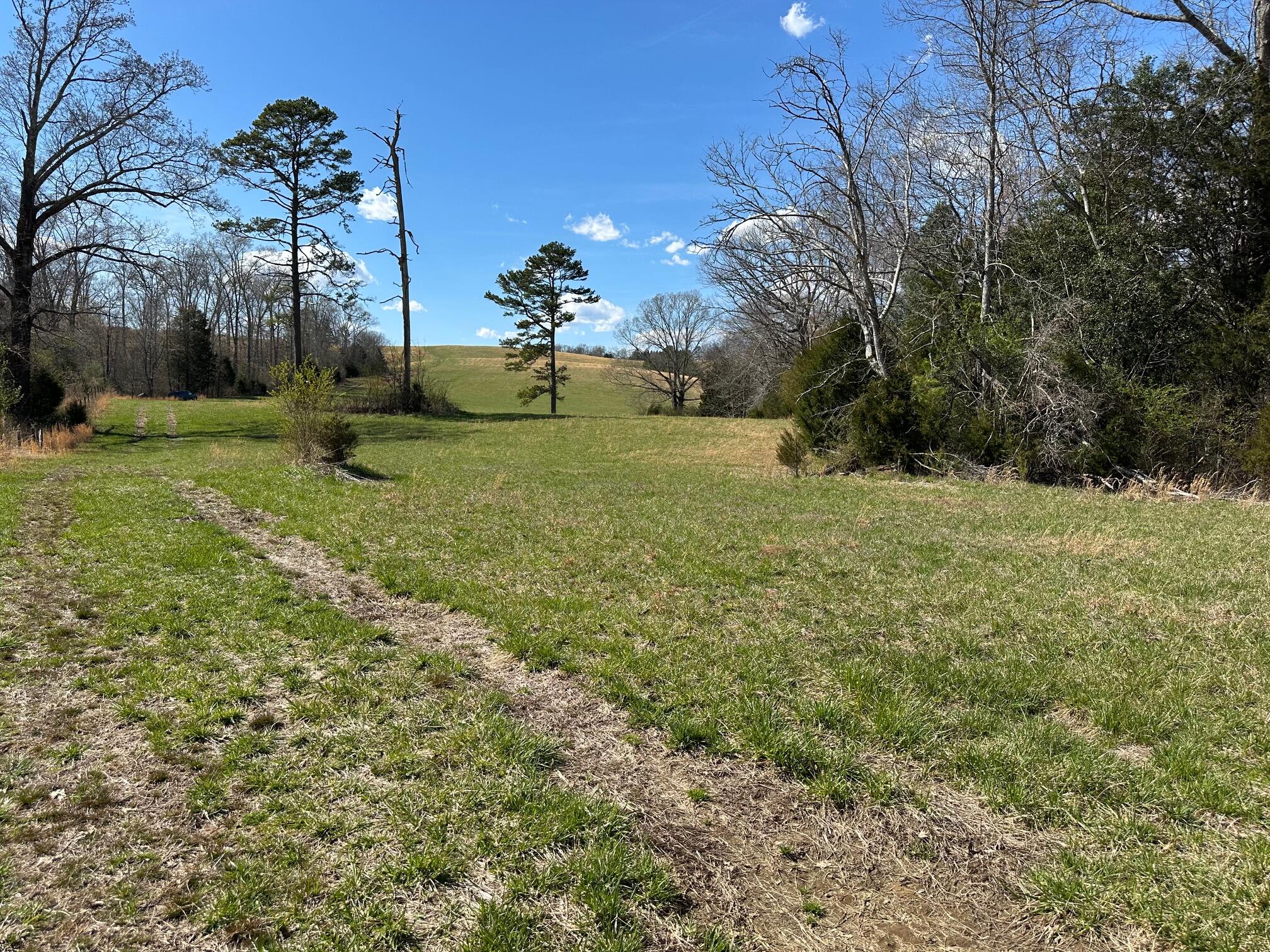 32131 State Highway 58 Highway, Ten Mile, Tennessee image 17