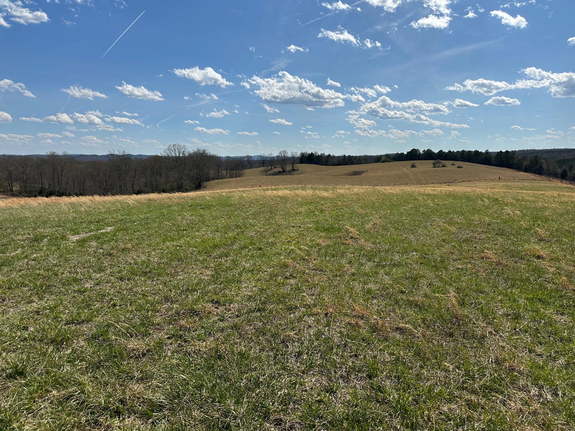 32131 State Highway 58 Highway, Ten Mile, Tennessee image 24