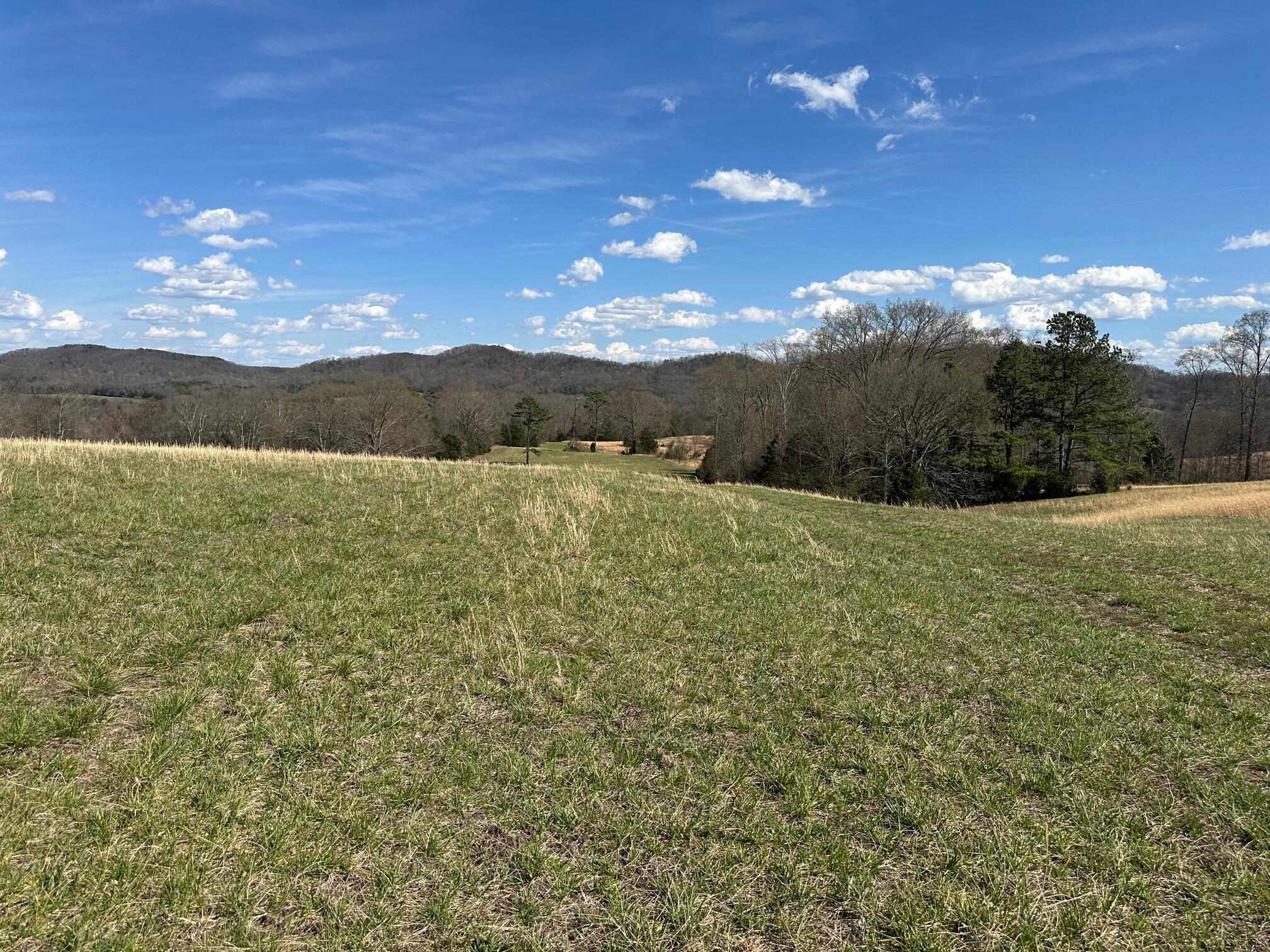 32131 State Highway 58 Highway, Ten Mile, Tennessee image 20