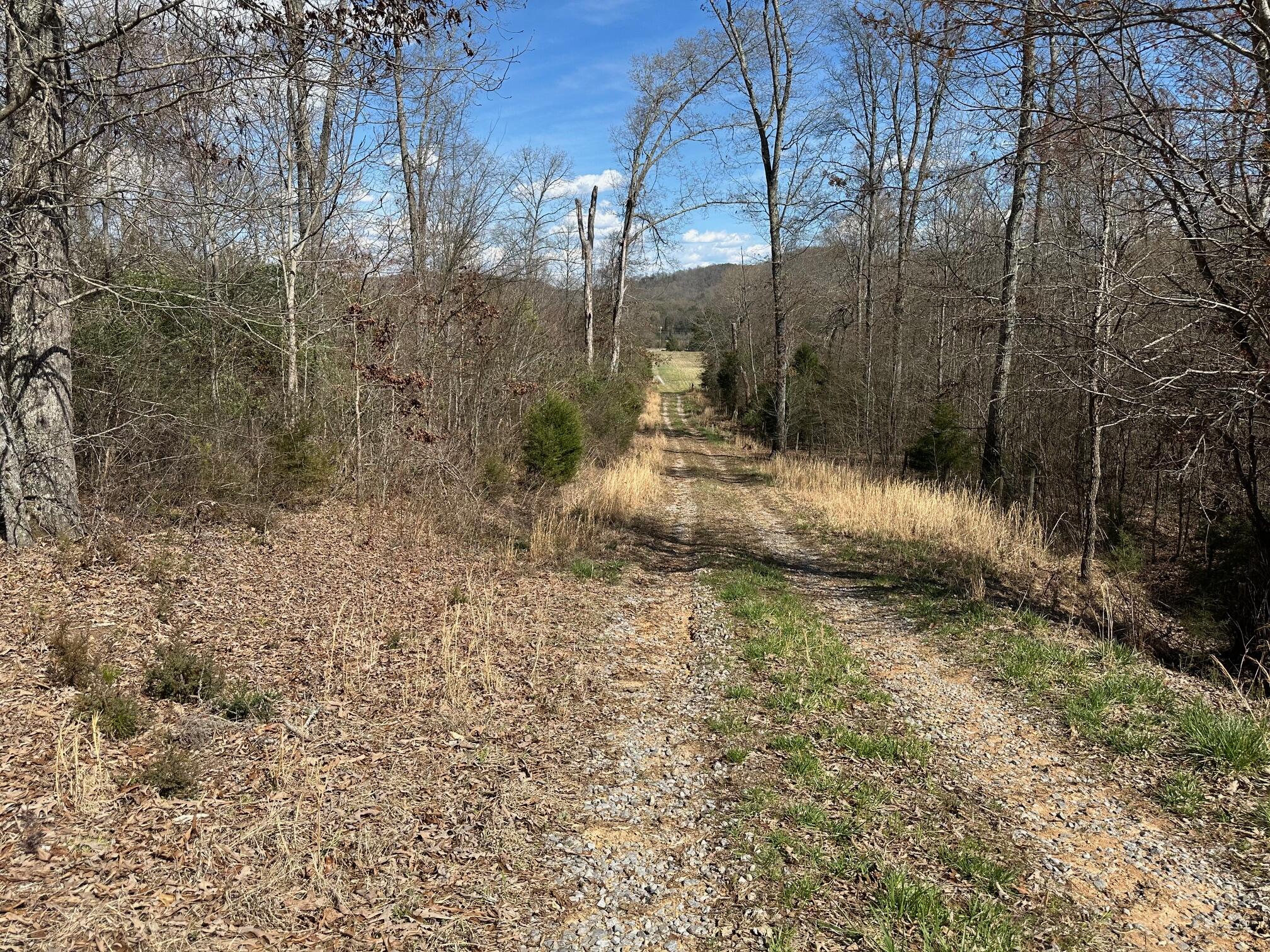 32131 State Highway 58 Highway, Ten Mile, Tennessee image 2