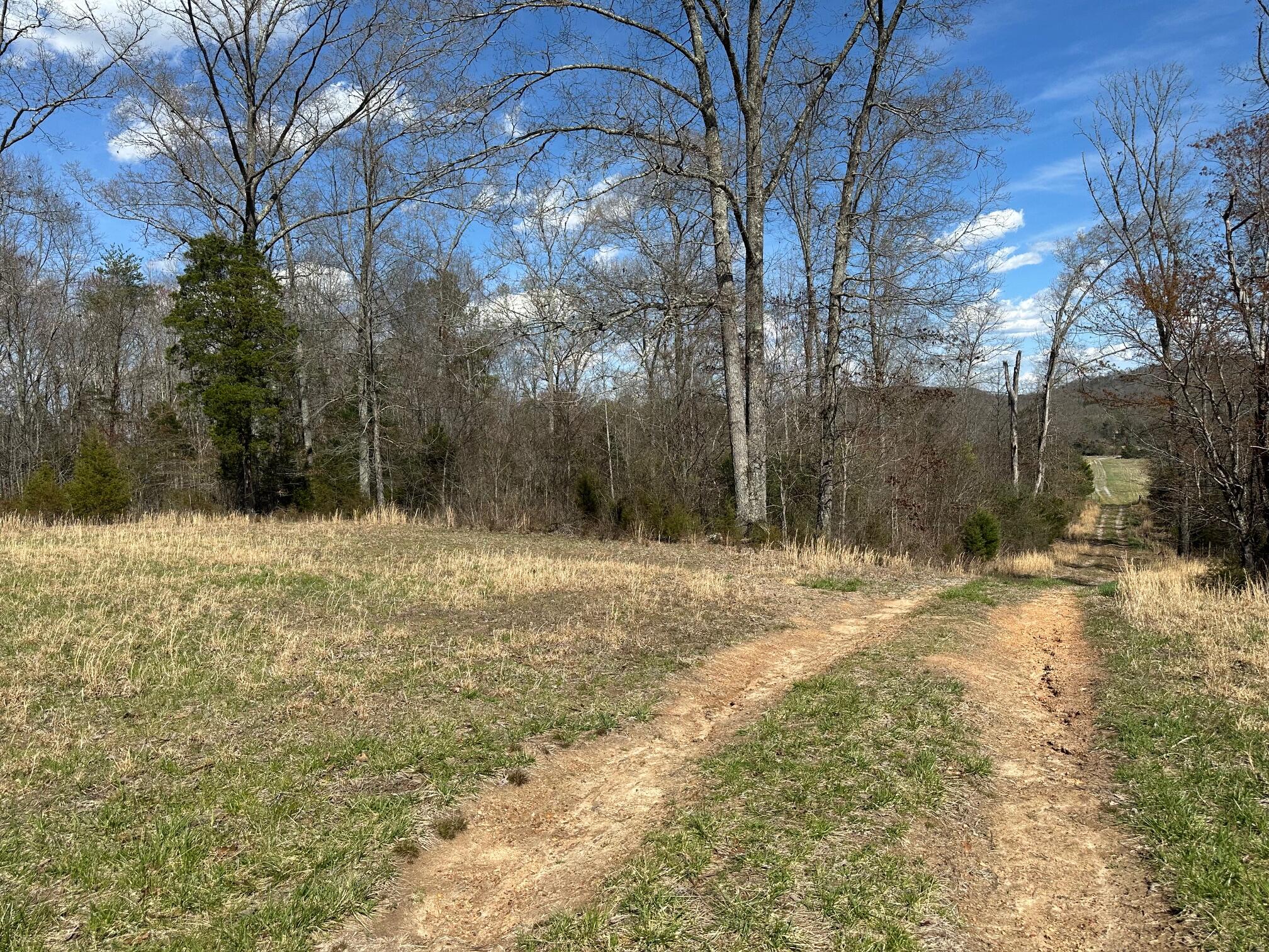 32131 State Highway 58 Highway, Ten Mile, Tennessee image 3