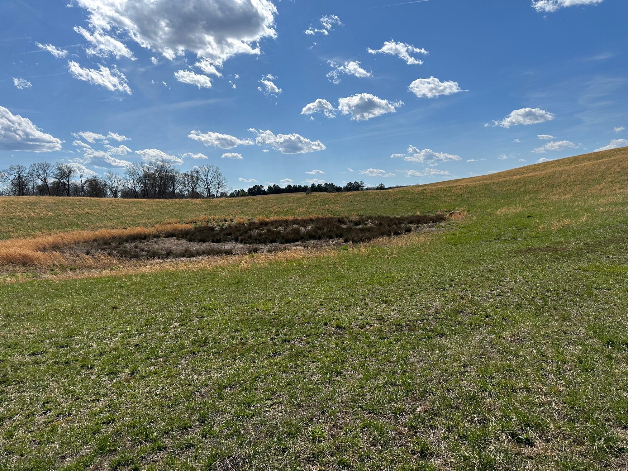 32131 State Highway 58 Highway, Ten Mile, Tennessee image 13
