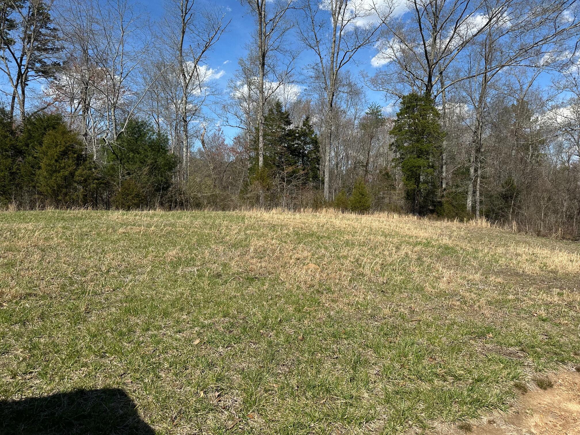 32131 State Highway 58 Highway, Ten Mile, Tennessee image 9