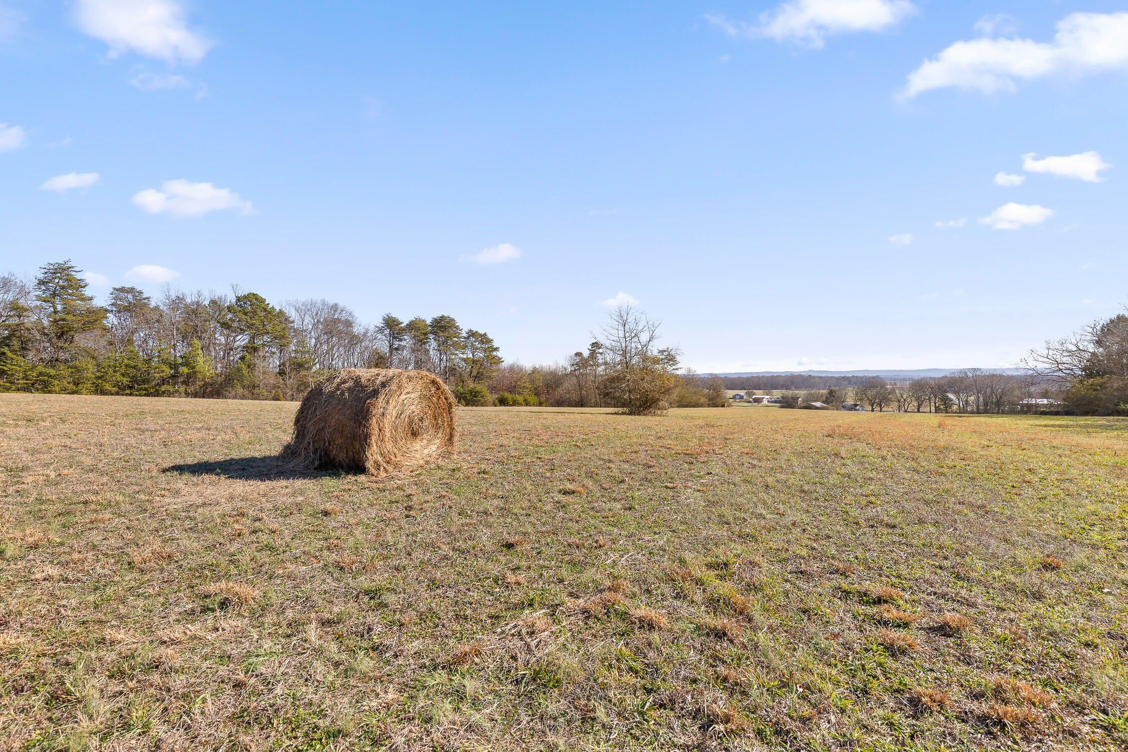 000 Blue Sky Drive #8 ACRE TRACT, Dayton, Tennessee image 1