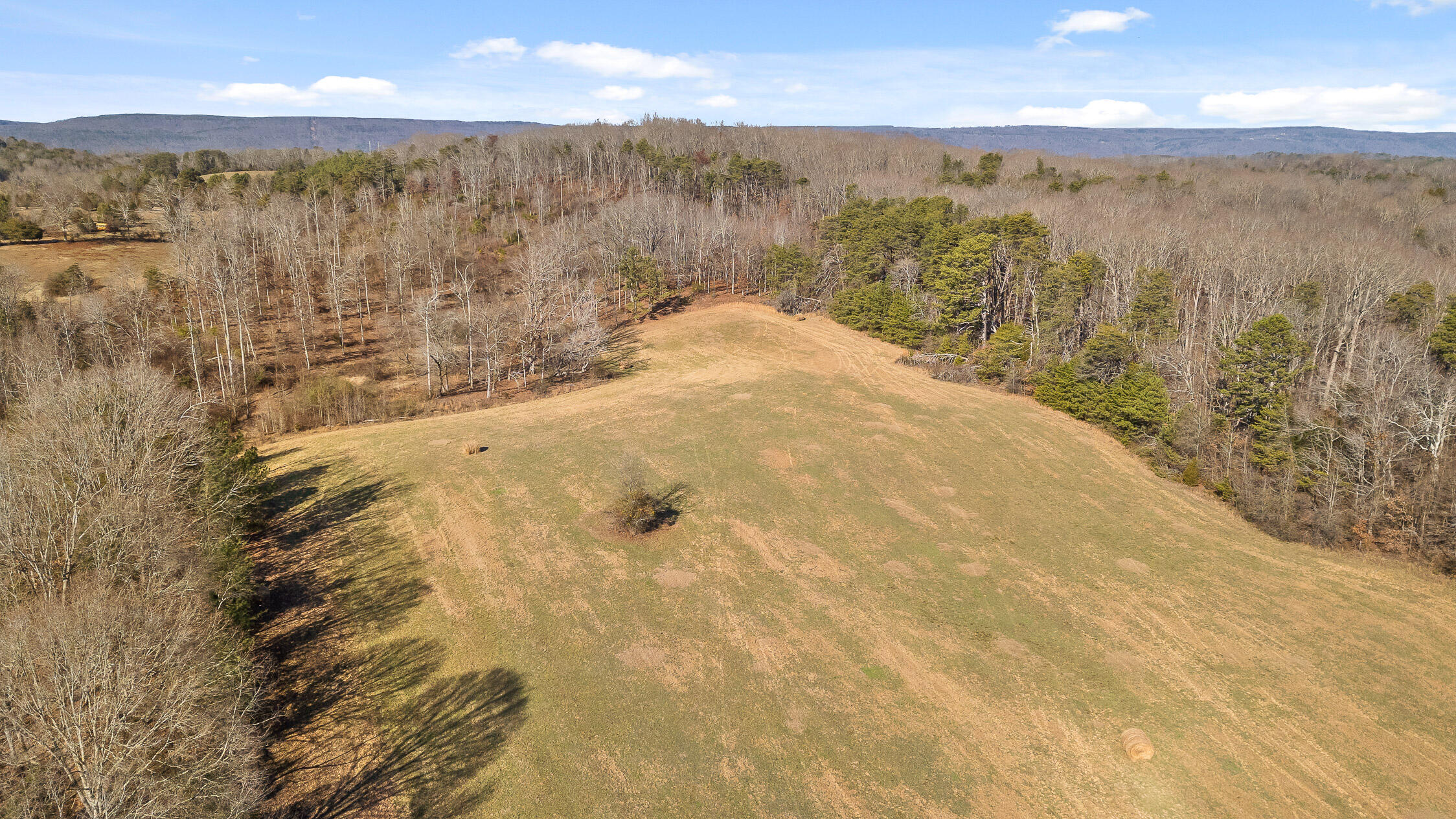 000 Blue Sky Drive #8 ACRE TRACT, Dayton, Tennessee image 20