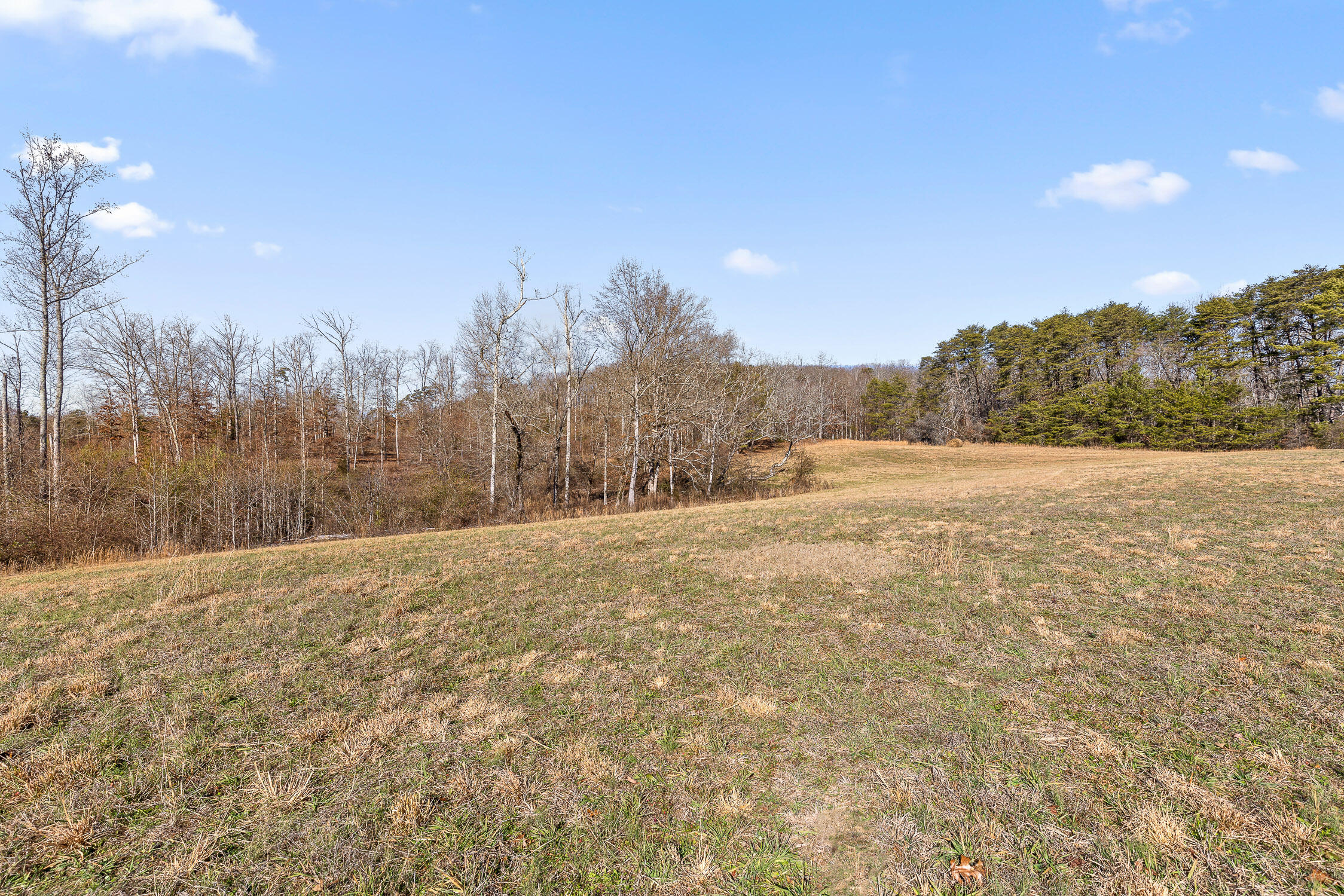 000 Blue Sky Drive #8 ACRE TRACT, Dayton, Tennessee image 3