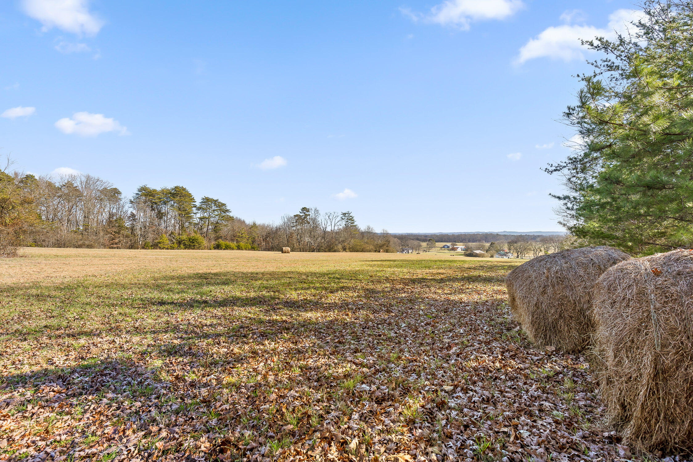 000 Blue Sky Drive #8 ACRE TRACT, Dayton, Tennessee image 8