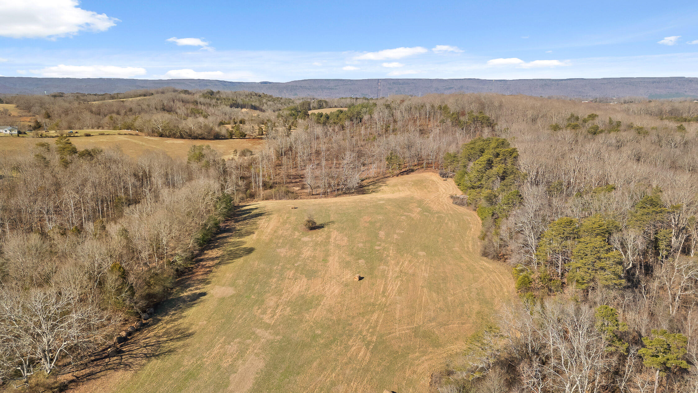 000 Blue Sky Drive #8 ACRE TRACT, Dayton, Tennessee image 18