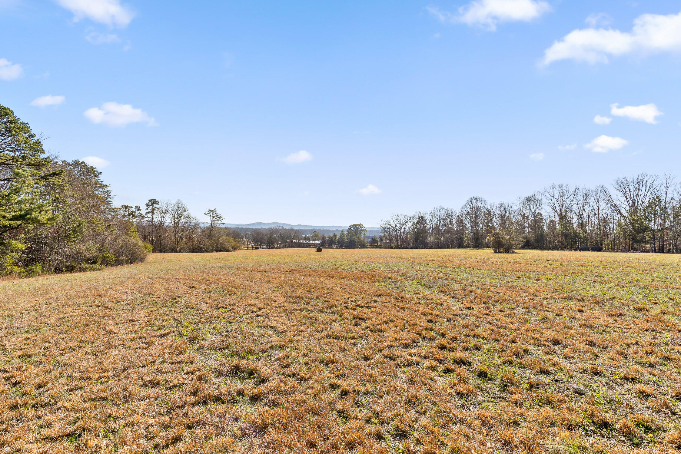 000 Blue Sky Drive #8 ACRE TRACT, Dayton, Tennessee image 5