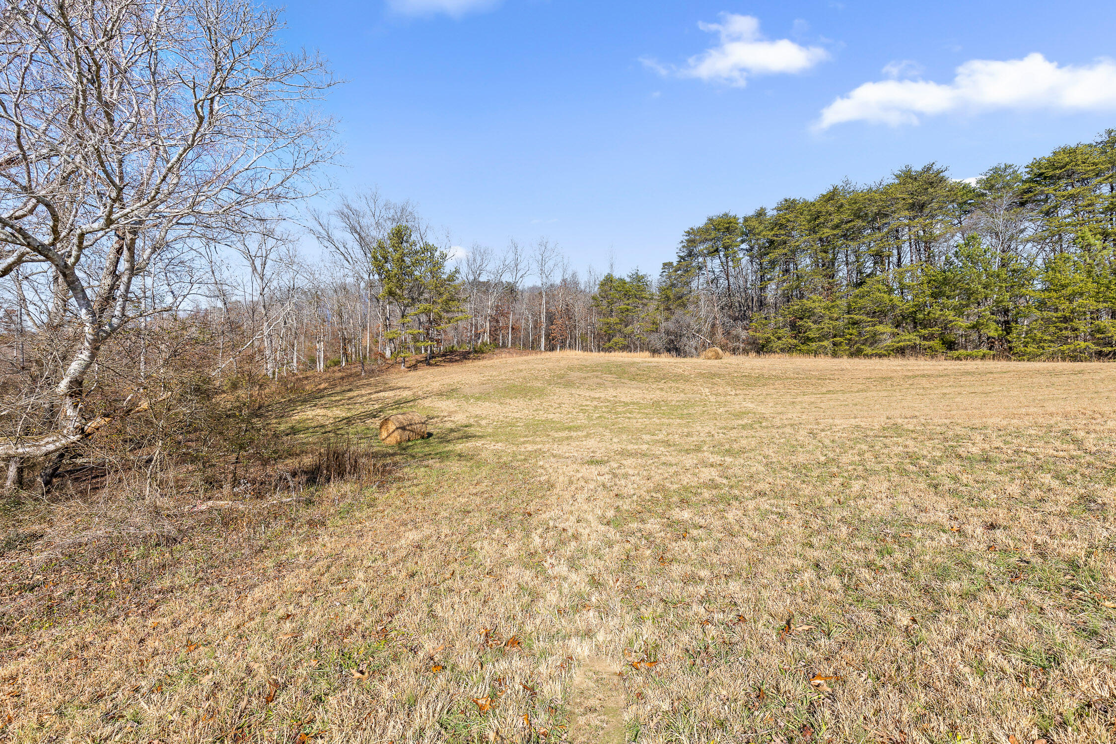 000 Blue Sky Drive #8 ACRE TRACT, Dayton, Tennessee image 4
