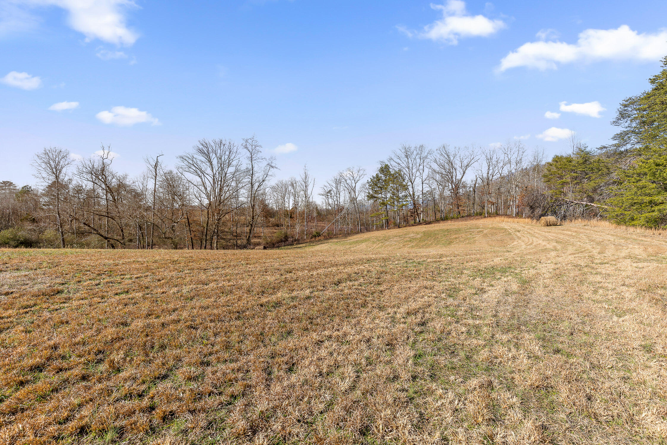 000 Blue Sky Drive #8 ACRE TRACT, Dayton, Tennessee image 6