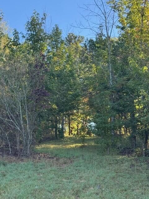 Photo of 446 Patton School Road Rd, South Pittsburg, TN 37380 (MLS # 1521468)