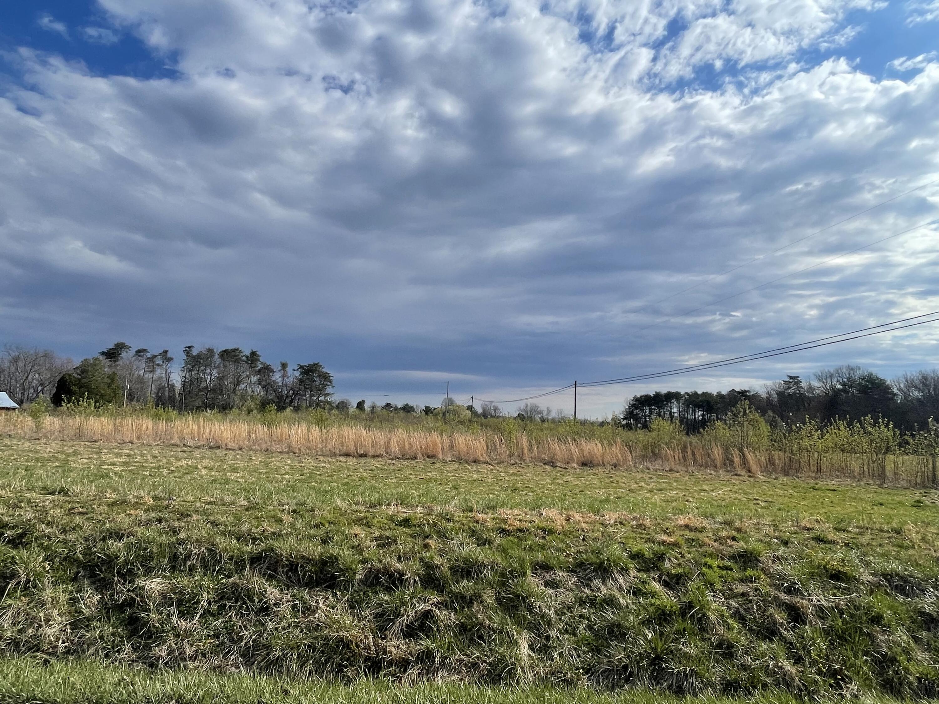 03 Watson Loop Road, Pikeville, Tennessee image 2
