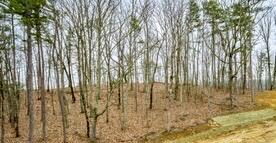 Summit Way #LOT 525, Jasper, Tennessee image 4