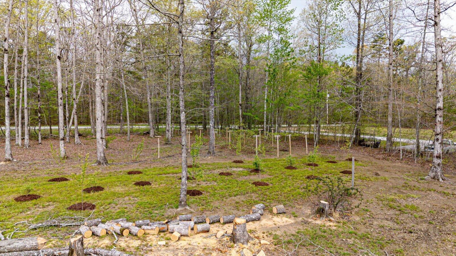 155 Mossy Oak Drive, Sequatchie, Tennessee image 39