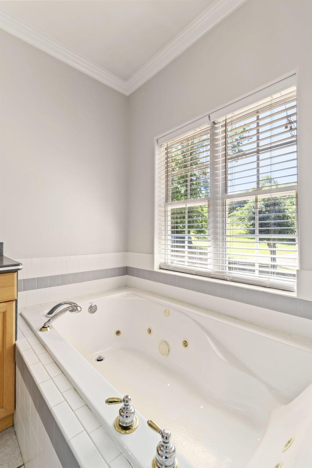 8802 Pine Ridge Road, Ooltewah, Tennessee image 28