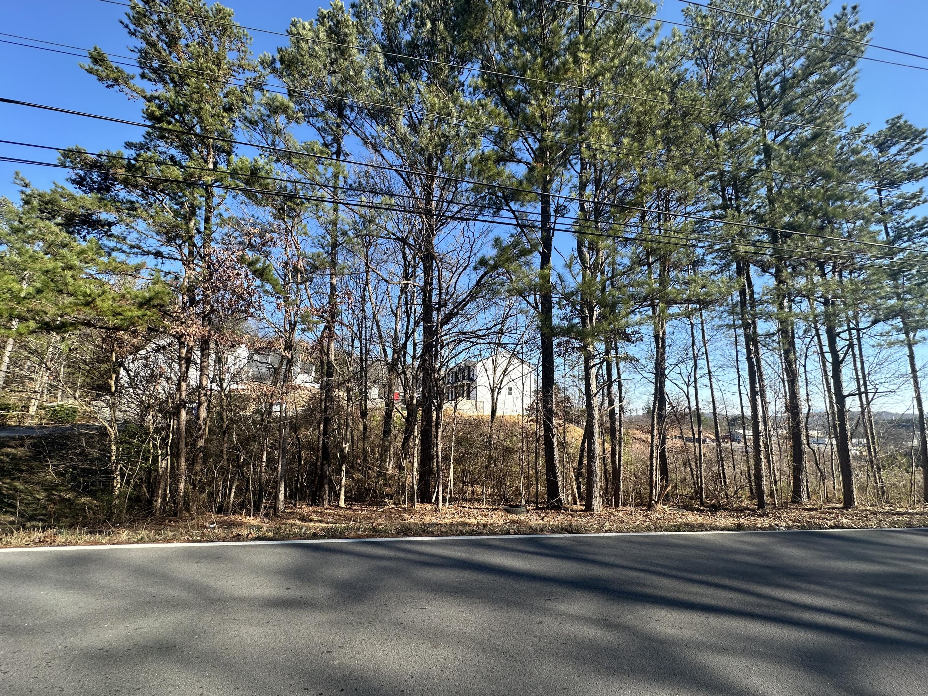 Lot 22 Unity Drive, Cleveland, Tennessee image 3