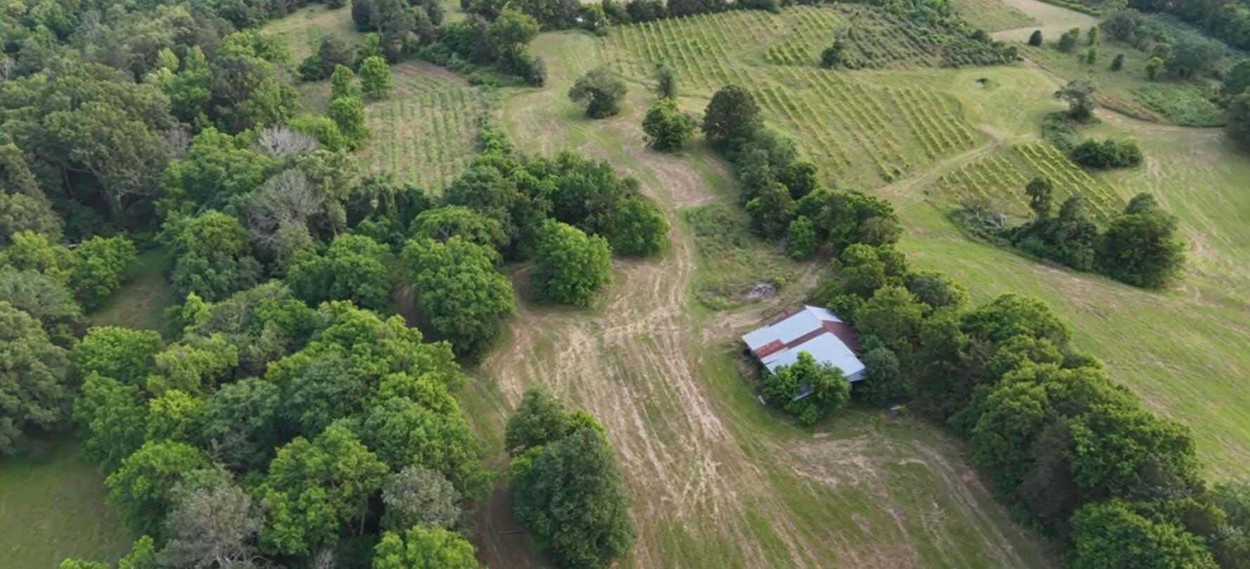 333 Hooper Road, Ringgold, Georgia image 12
