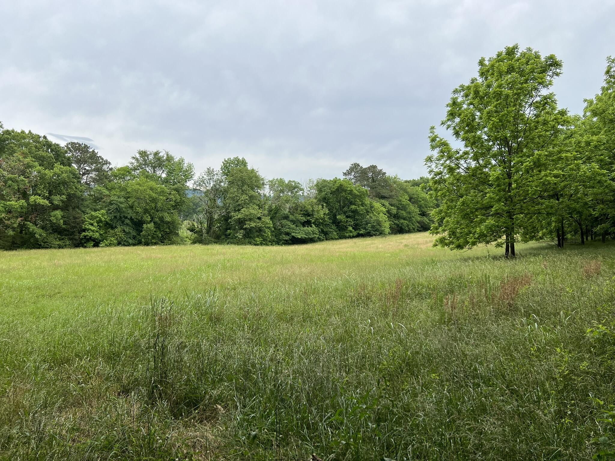 333 Hooper Road, Ringgold, Georgia image 19
