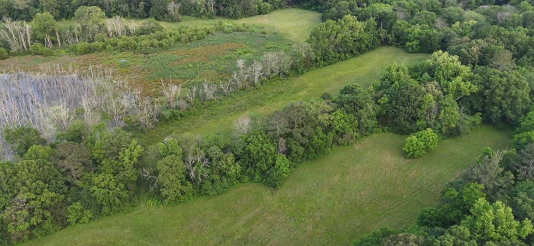 333 Hooper Road, Ringgold, Georgia image 13