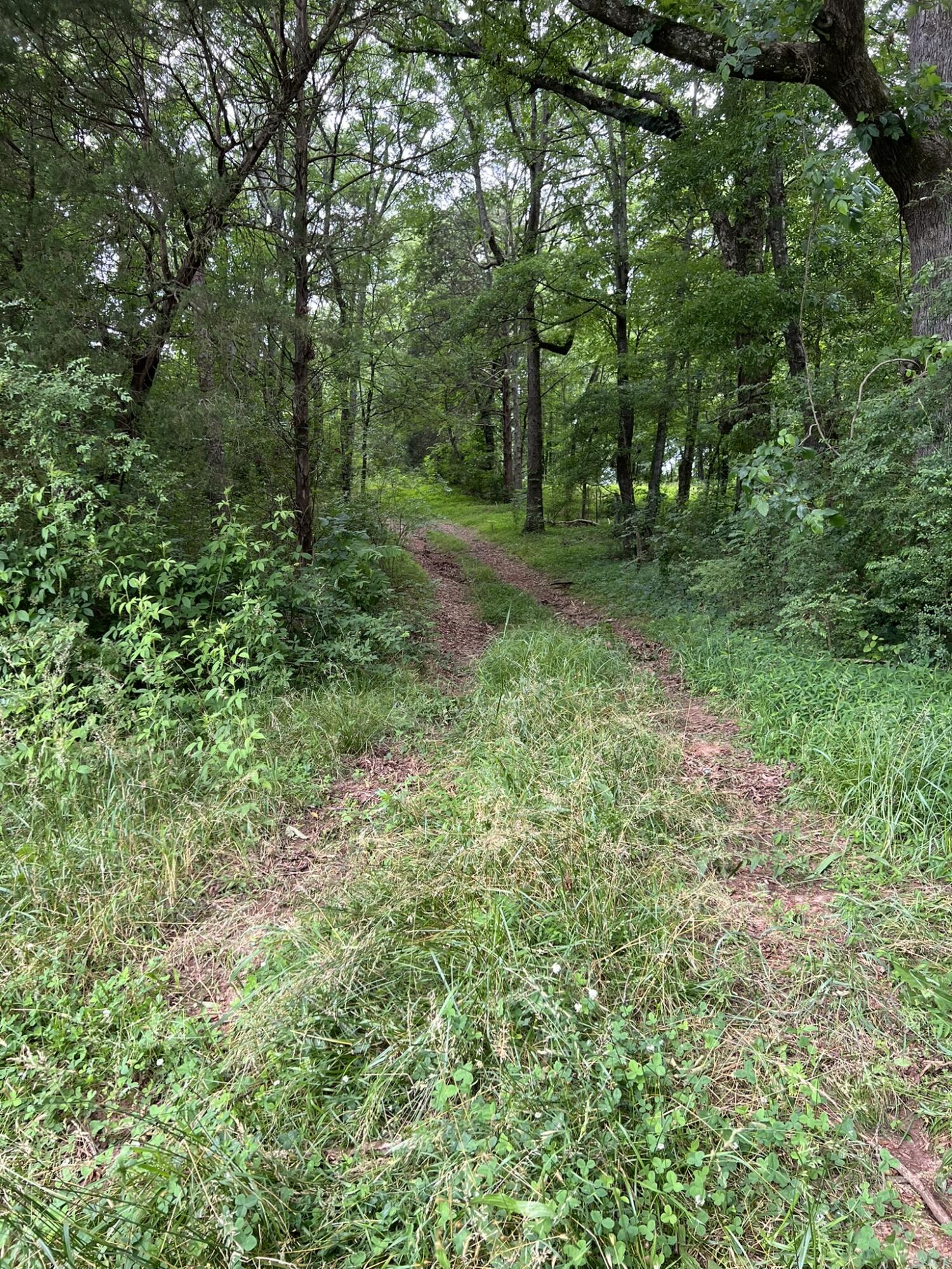 333 Hooper Road, Ringgold, Georgia image 21