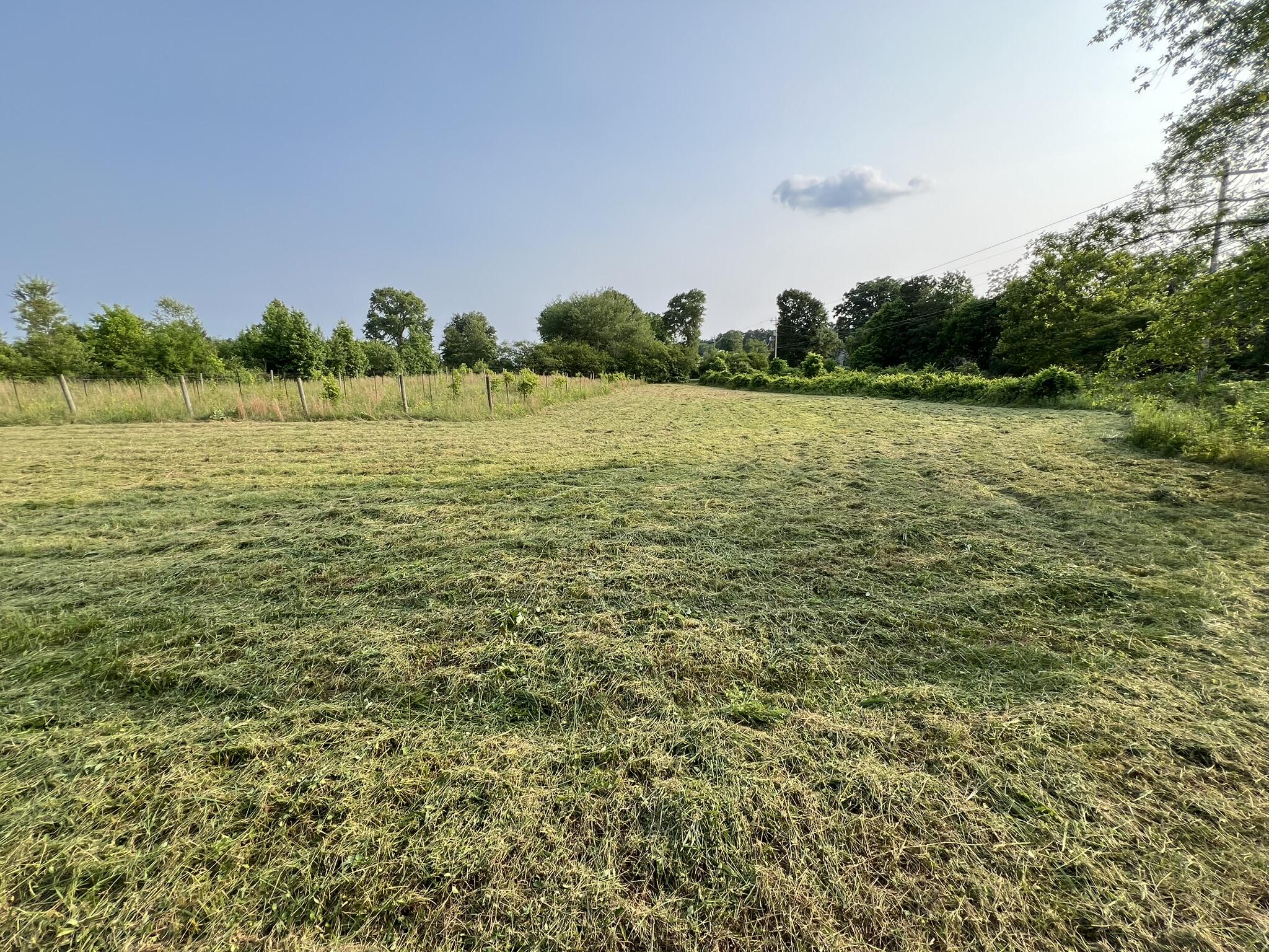 333 Hooper Road, Ringgold, Georgia image 5