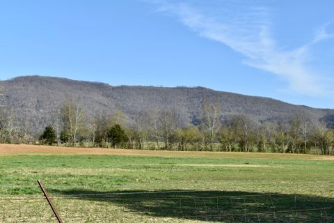 Vacant Land For Sale - 20093 Old State Hwy 28<br/> Pikeville, TN 37367