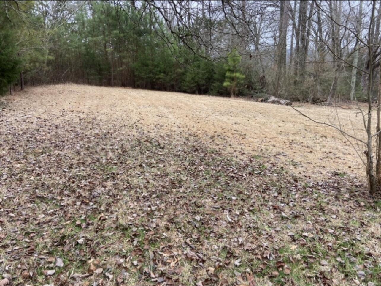 1774 Salem Valley Road, Ringgold, Georgia image 7